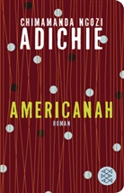 Chimamanda Ngozi Adichie, Chimamanda Ngozi Adichie schreibt als Nwa Grace-James - Americanah