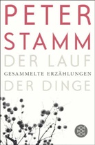 Peter Stamm - Der Lauf der Dinge
