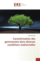 Ibrahim Amani, Amani-i - Caracterisation des gommeraies