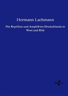 Hermann Lachmann - Die Reptilien und Amphibien Deutschlands in Wort und Bild