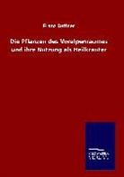 Franz Daffner - Die Pflanzen des Voralpenraumes und ihre Nutzung als Heilkräuter