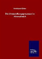 Ferdinand Zirkel - Die Umwandlungsprozesse im Mineralreich