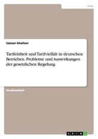 Usman Ghafoor - Tarifeinheit und Tarifvielfalt in deutschen Betrieben. Probleme und Auswirkungen der gesetzlichen Regelung