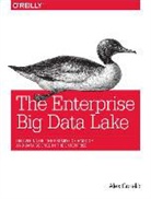 Alex Gorelik, Gorelik Alex - The Enterprise Big Data Lake