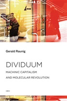 Aileen Derieg, Gerald Raunig, Sylvere Lotringer - Dividuum