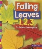 Tracey E Dils, Tracey E. Dils - Falling Leaves 1, 2, 3