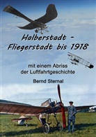 Bernd Sternal - Halberstadt - Fliegerstadt bis 1918