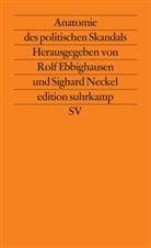 Ebbighausen, Ebbighausen, Rolf Ebbighausen, Sighar Neckel, Sighard Neckel - Anatomie des politischen Skandals