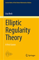 Lisa Beck - Elliptic Regularity Theory