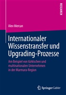 Alev Mercan - Internationaler Wissenstransfer und Upgrading-Prozesse