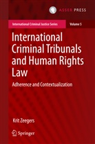 Krit Zeegers - International Criminal Tribunals and Human Rights Law
