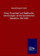 Samuel August Duse - Unter Pinguinen und Seehunden