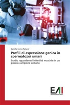 Camillo Enrico Patane' - Profili di espressione genica in spermatozoi umani