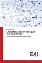 Filippo Cataldo - Characterization of the liquid film distribution