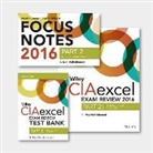 S. Rao Vallabhaneni - Wiley Ciaexcel Exam Review + Test Bank + Focus Notes 2016