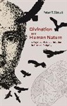 Peter Struck, Peter T. Struck - Divination and Human Nature