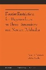 Isroil A. Ikromov, Isroil A. Muller Ikromov, Ikromov Isroil A., Detlef Muller, Detlef Müller - Fourier Restriction for Hypersurfaces in Three Dimensions and Newton