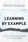 David Strang, Strang David - Learning By Example