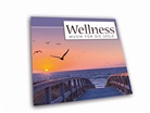 Wellness Musik für die Seele, 1 Audio-CD (Hörbuch)