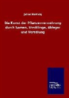 Julius Hartwig - Die Kunst der Pflanzenvermehrung durch Samen, Stecklinge, Ableger und Veredlung