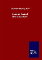 Alexander Baumgartner - Goethes Jugend