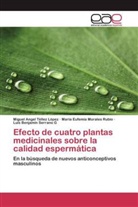 María Eu Morales Rubio, María Eufemia Morales Rubio, Luis Benjamín Serrano G, Miguel Ange Téllez López, Miguel Angel Téllez López - Efecto de cuatro plantas medicinales sobre la calidad espermática