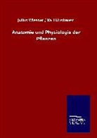 Linsbauer Karl, Julius Wiesner, Julius / Linsbauer Wiesner, Julius Linsbauer Wiesner - Anatomie und Physiologie der Pflanzen
