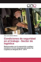 Jhon Jairo Beltrán Molina - Condiciones de seguridad en el trabajo - Sector de logística