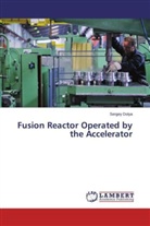 Sergey Dolya - Fusion Reactor Operated by the Accelerator