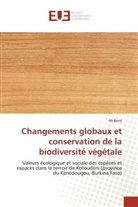Ali Béné, Bene-a - Changements globaux et