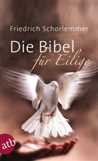 Friedrich Schorlemmer - Die Bibel für Eilige