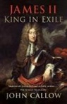 John Callow - James II: King in Exile