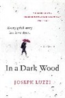 Joseph Luzzi - In a Dark Wood