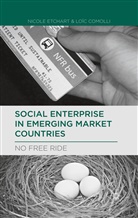 L Comolli, L. Comolli, Loic Comolli, Etchart, N Etchart, N. Etchart... - Social Enterprise in Emerging Market Countries
