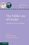Kim (Australian National University Rubenstein, Kim Young Rubenstein, Kim Rubenstein, Rubenstein Kim, Katharine G. Young, Young Katharine G. - Public Law of Gender