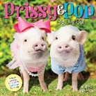 Melissa Nicholson, Melissa Nicholson - Prissy & Pop: Big Day Out