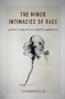 Christine Kim - Minor Intimacies of Race