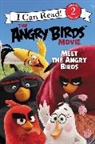 Chris Cerasi, Christopher Cerasi - The Angry Birds Movie: Meet the Angry Birds
