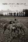 Alan Beck, Lorna Coppinger, Raymond Coppinger, Raymond Coppinger Coppinger, Coppinger Lorna, Coppinger Raymond - What is a Dog?
