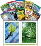 Multiple Authors, Teacher Created Materials - Time for Kids(r) Informational Text Grade K Readers Set 2 10-Book Set