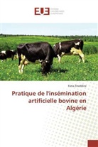 Esma Zineddine, Zineddine-e - Pratique de linsemination
