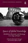 Diarmid A. Finnegan, Diarmid A. (EDT)/ Wright Finnegan, Diarmid A. Wright Finnegan, Finnegan Diarmid A., Jonathan Jeffrey Wright, Wright Jonathan Jeffrey - Spaces of Global Knowledge
