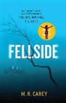 M. R. Carey - Fellside