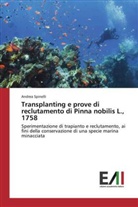 Andrea Spinelli - Transplanting e prove di reclutamento di Pinna nobilis L., 1758