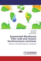 Koma Aftab, Komal Aftab, Mehvish Iqtedar, Hir Naeem, Hira Naeem - Augmented Bioethanol from wild and mutant Saccharomyces cerevisiae