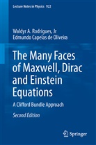 Edmund Capelas de Oliveira, Edmundo Capelas de Oliveira, Jr Rodrigues, Waldyr A. Rodrigues, Waldyr Rodrigues Jr, Waldyr A Rodrigues Jr - The Many Faces of Maxwell, Dirac and Einstein Equations