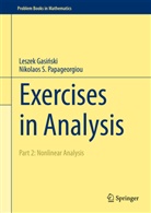 Leszek Gasi¿ski, Lesze Gasinski, Leszek Gasinski, Leszek Gasiński, Leszek Gasiski, Nikolaos S Papageorgiou... - Exercises in Analysis