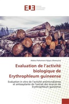 Mawouma-a, Abdoul Rahamane Njigou  Mawouma, Abdoul Rahamane Njigou Mawouma - Evaluation de l activite