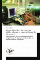 Radwan Dib, Dib-r - Caracterisation de couches
