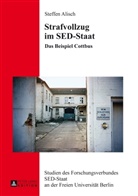 Steffen Alisch - Strafvollzug im SED-Staat